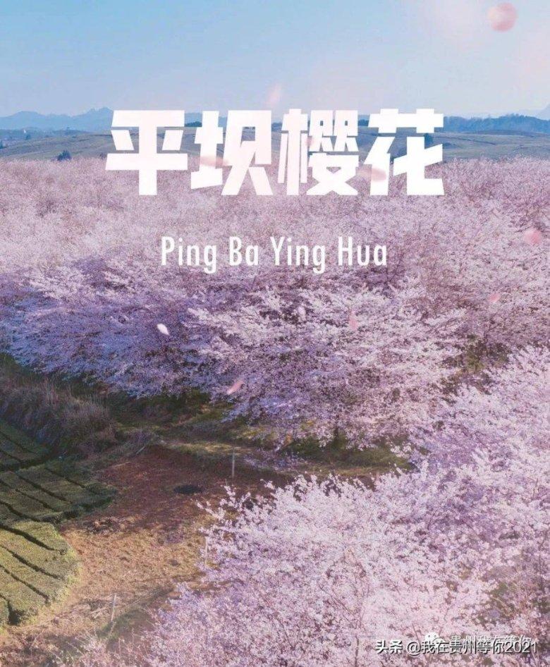 多地目标出炉 新质生产力成高频词