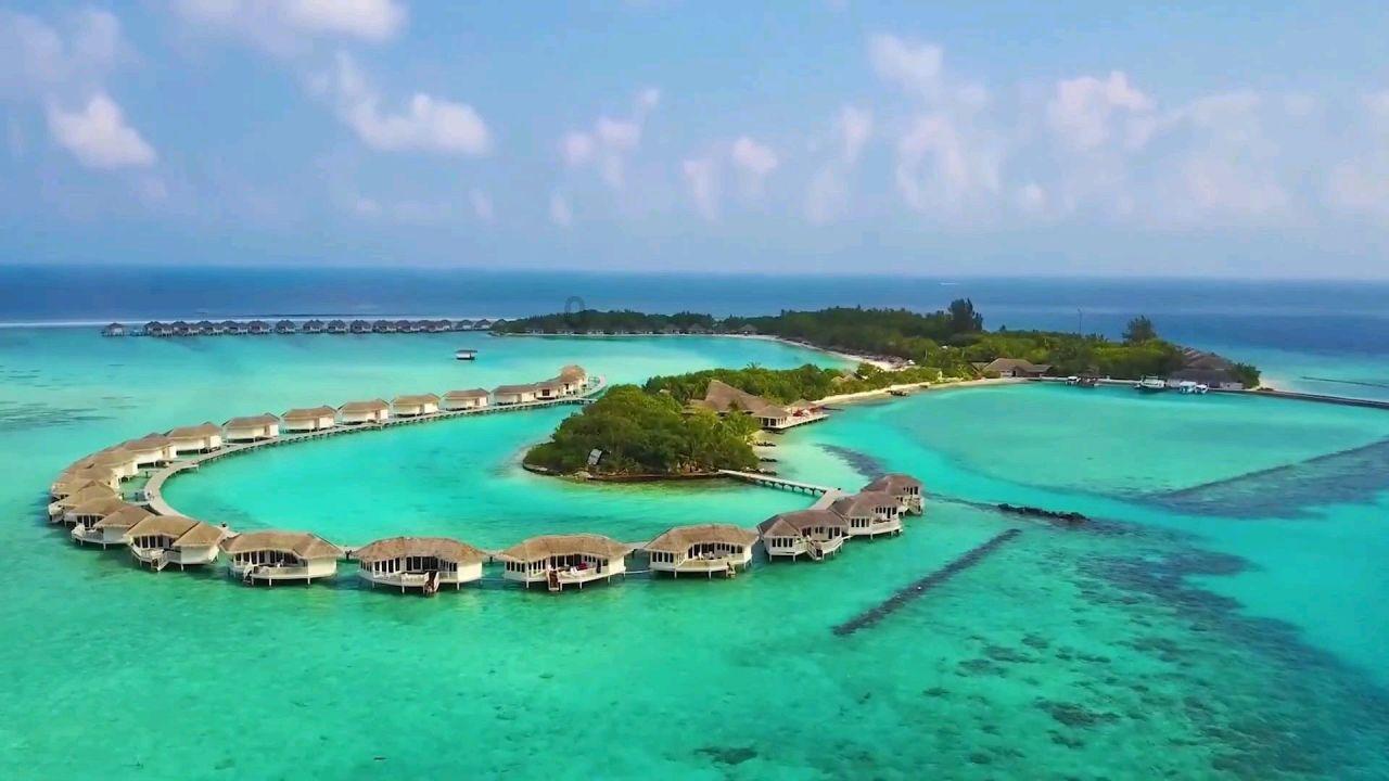 秦皇台乡:试种金耳获丰收,乡村振兴路更宽